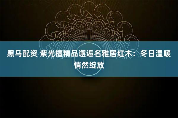 黑马配资 紫光檀精品邂逅名雅居红木：冬日温暖悄然绽放